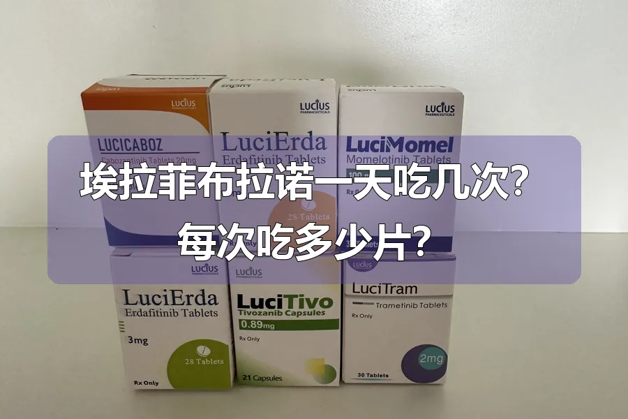 埃拉菲布拉诺一天吃几次?每次吃多少片?