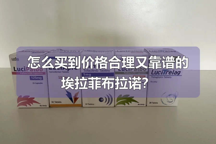 怎么买到价格合理又靠谱的埃拉菲布拉诺?